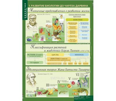 Таблицы "Биология. 10-11 классы. Эволюционное учение" (10 таблиц) Таблицы "Биология. 10-11 классы. Эволюционное учение" (10 таблиц)